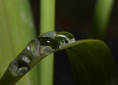 Water Conservation Programs