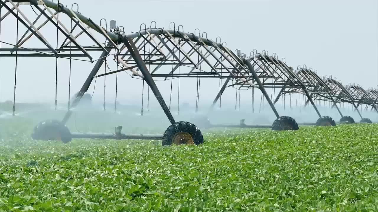 Keller-Bliesner Engineering irrigated landscape