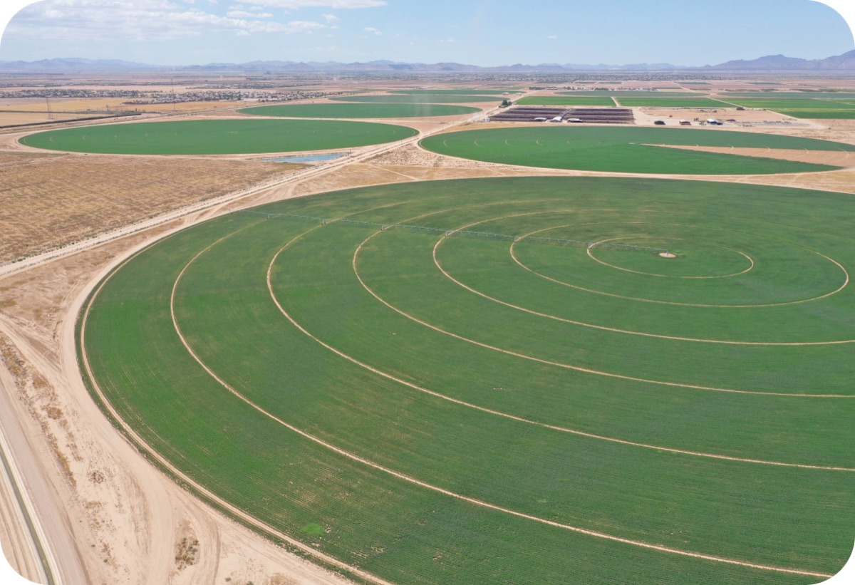 Irrigation